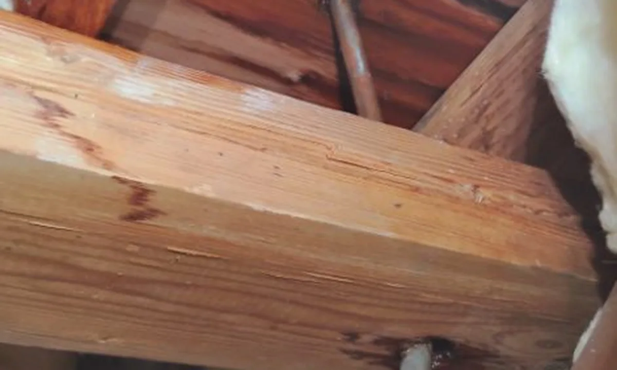 Slab leak pipe visible inside an opened floor cavity for slab leak detection & repair in Fountain Hills