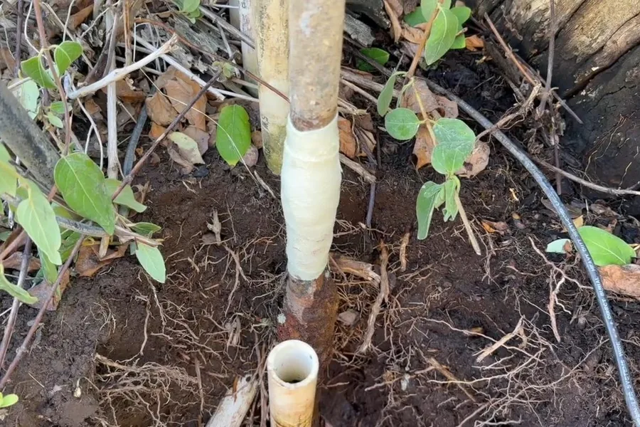 Vertical water line exposed in soil for water line repair & replacement in Fountain Hills